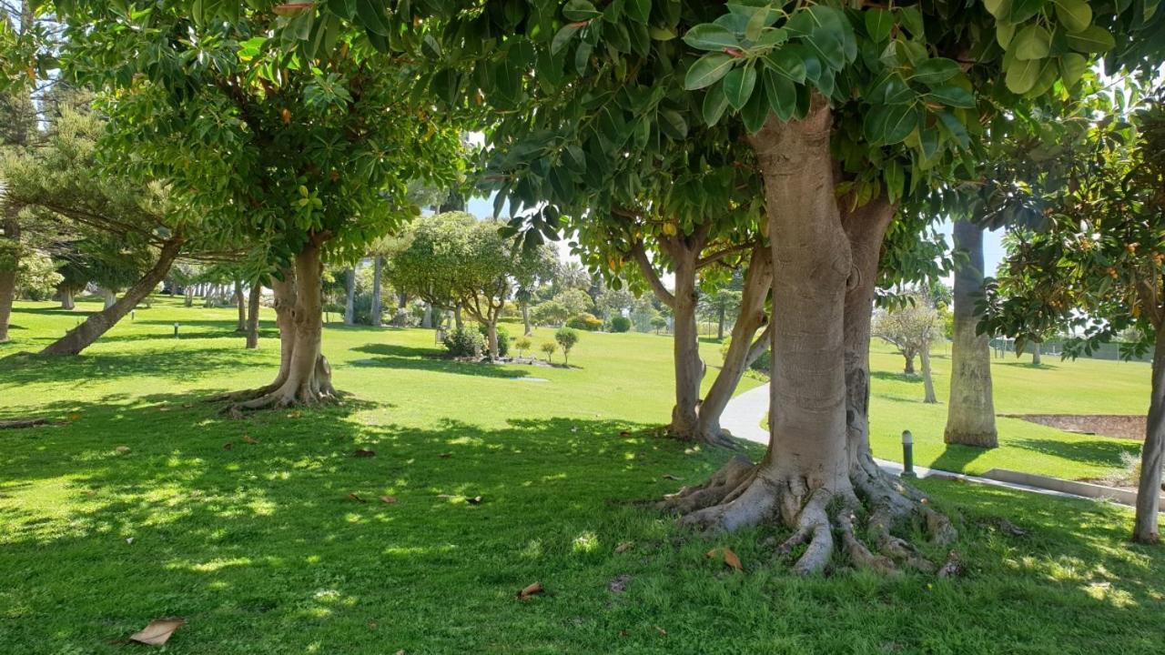 Appartamento Torres De Aloha 2 Bdr Puerto Banus Marbella Esterno foto